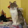 Отзыв от Катя Гурова